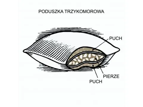Poduszka do spania 70x80 Puchowa 3 - komorowa Luna poldaun Poduszka do spania 70x80 Puchowa 3 - komorowa Luna poldaun
