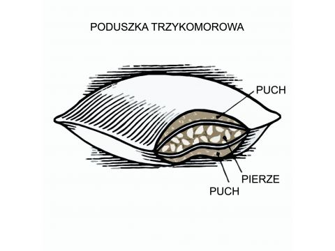 Poduszka do spania 50x70  Puchowa  3 - komorowa  Luna  poldaun