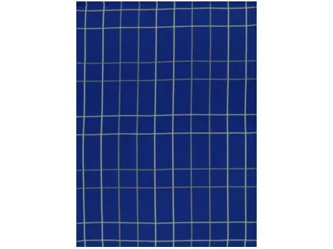 Ściereczka kuchenna Nowo Gusto 50x70 cm Duża krata niebieska