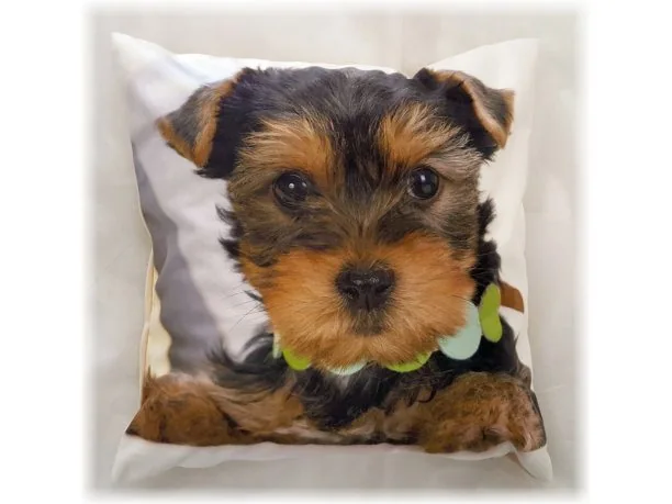 Poszewka dekoracyjna Foto 40x40 Jork