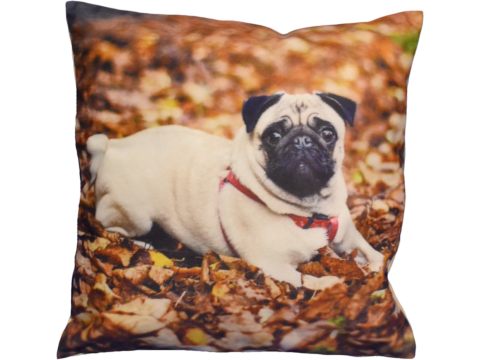 Poszewka dekoracyjna Foto  40x40  Mops  1447
