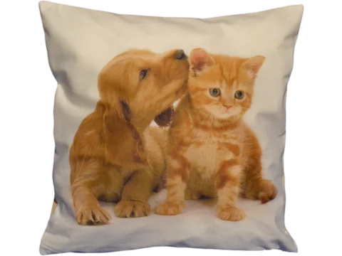 Poszewka dekoracyjna Foto 40x40 Piesek Kotek 1173