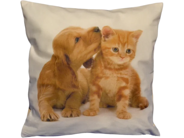 Poszewka dekoracyjna Foto 40x40 Piesek Kotek 1173