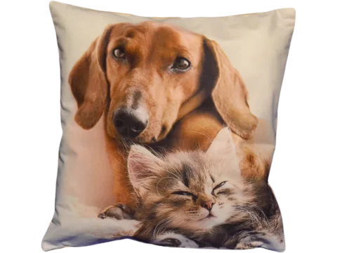 Poszewka dekoracyjna Foto 40x40 Kotek Jamnik 245