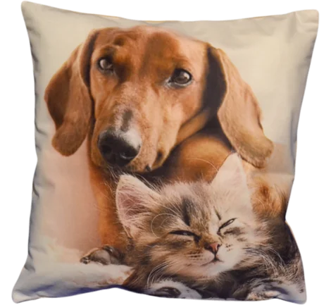 Poszewka dekoracyjna Foto 40x40 Kotek Jamnik 245