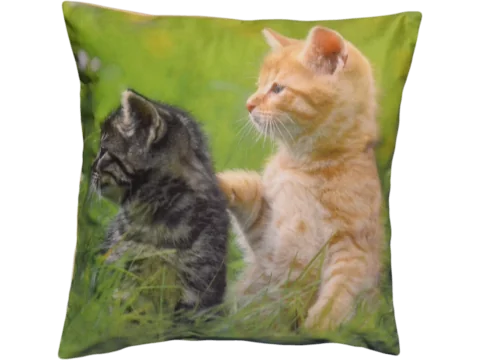 Poszewka dekoracyjna Foto 40x40 Kotki 1177
