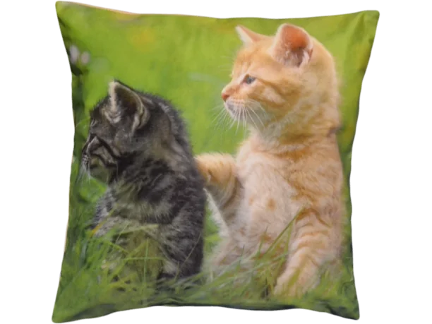 Poszewka dekoracyjna Foto 40x40 Kotki 1177