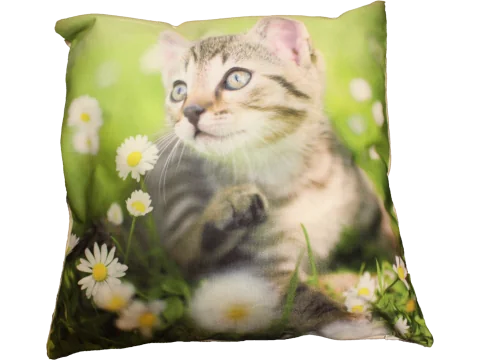 Poszewka dekoracyjna Foto 40x40 Kotek 1644