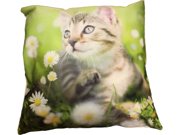 Poszewka dekoracyjna Foto 40x40 Kotek 1644