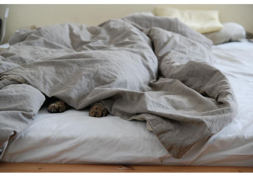 Jedna duża czy dwie małe – jaką kołdrę wybrać do dużego małżeńskiego łoża?