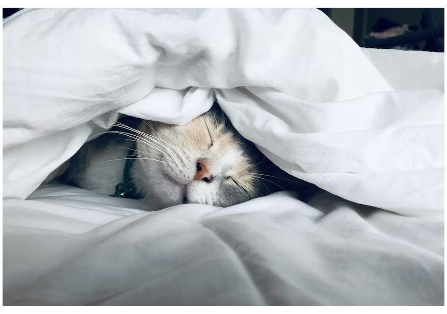 Jaka kołdra na zimę jest najlepsza? Podpowiadamy