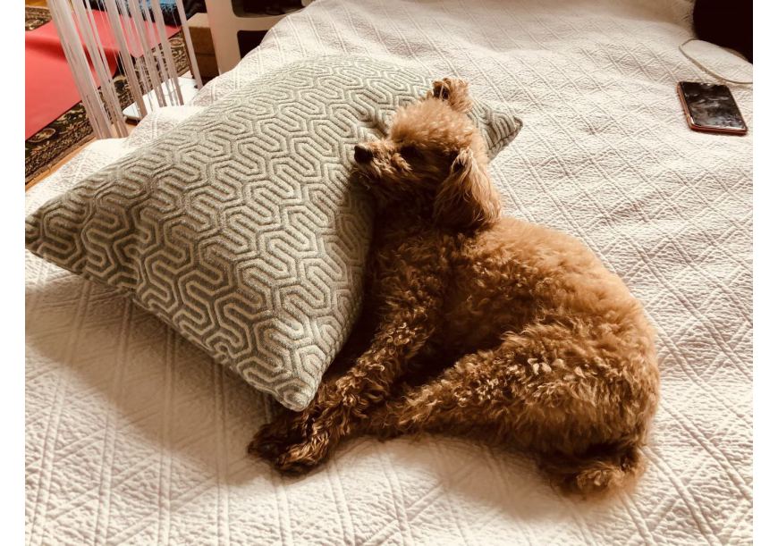 Czym jest pościel trójwymiarowa 3D? HIT czy KIT?